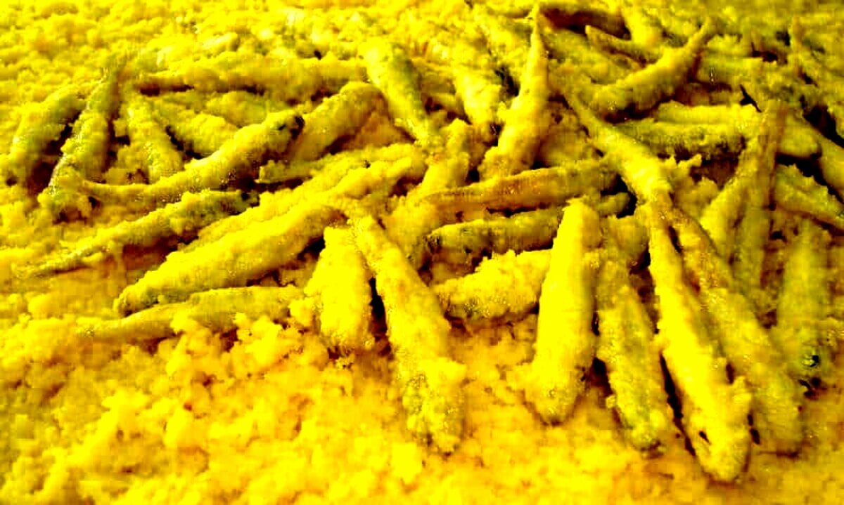 Scapece gallipolina: il giallo che racconta Gallipoli