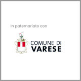 comune varese.jpeg