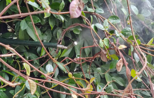 e0dbcb_baf5f49e14184050a8905e2b93cfef2fmv2