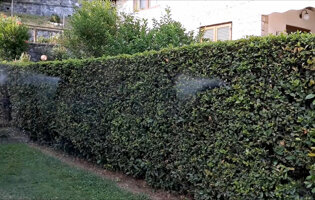 e0dbcb_842ca72c4ac44585894c356044e0f605mv2