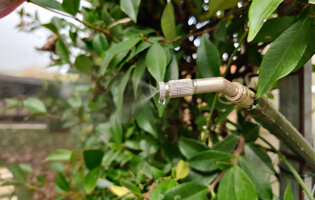 e0dbcb_d9c6ef077c014c2192ee55a642114960mv2