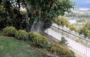 e0dbcb_e9347f4f2d9e46588ac14ddcc5268cfamv2