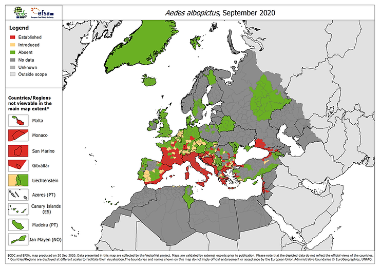 La mappa europea della distribuzione di Aedes Albopictus ( zanzara tigre ) aggiornata a set. 2020