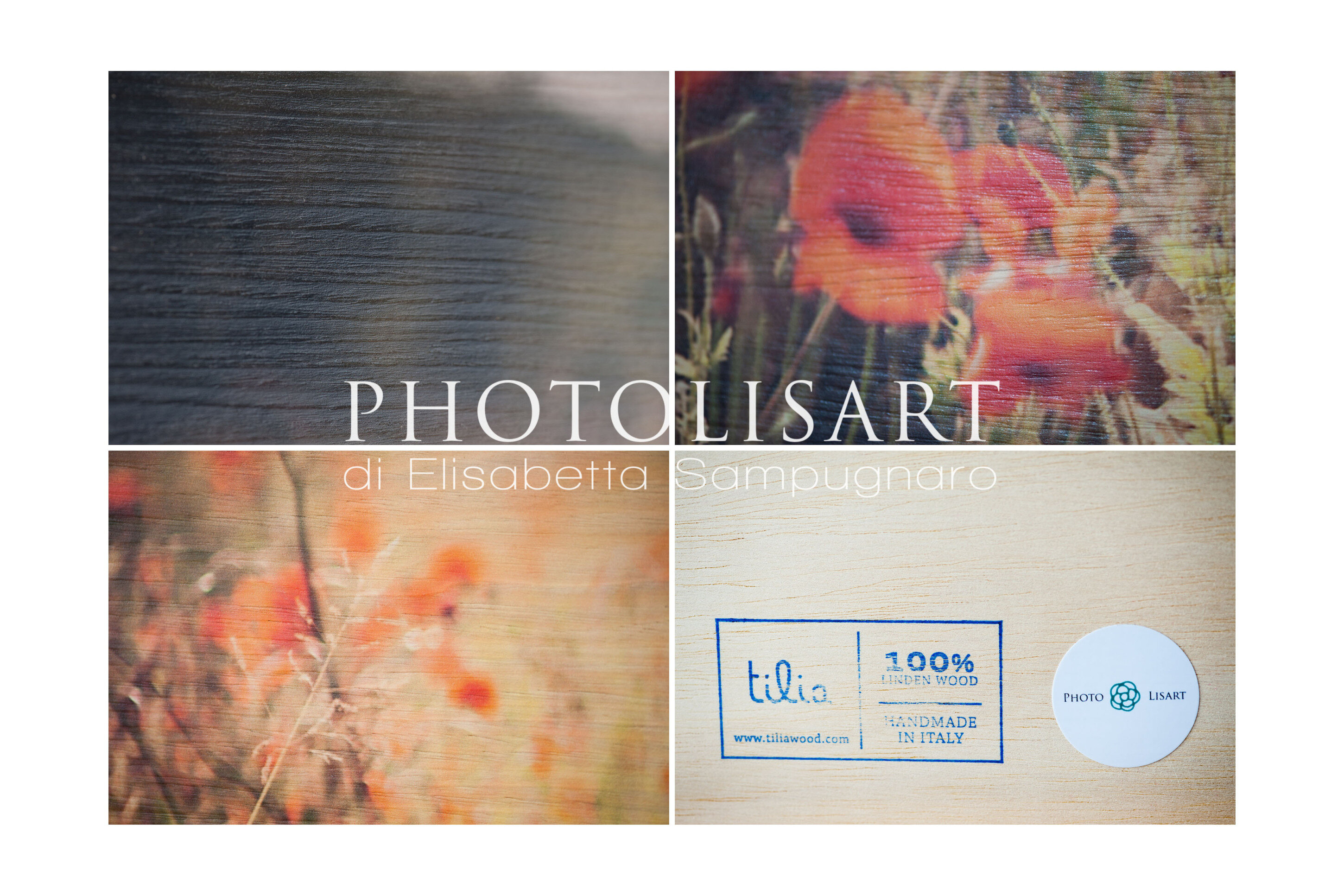 blog-tilia-2-262985721.jpg blog-tilia-2-262985721.jpg