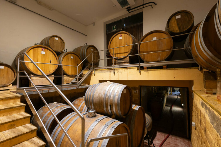 de bartoli_li causi.jpeg