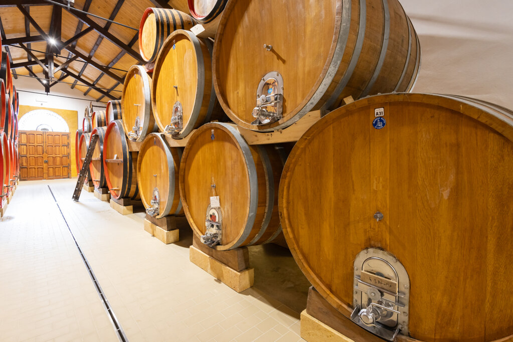 de bartoli_li causi_15.jpeg