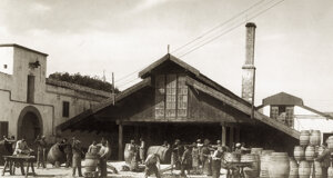 image23.jpeg