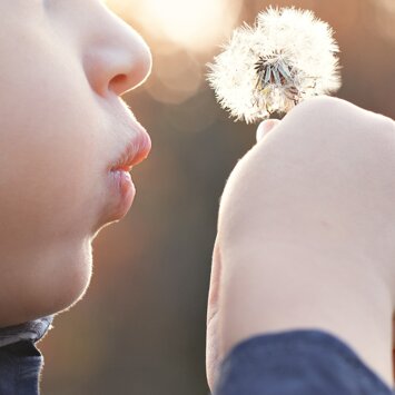 imgi_7_1488402237-se2_9519.jpeg imgi_7_1488402237-se2_9519.jpeg