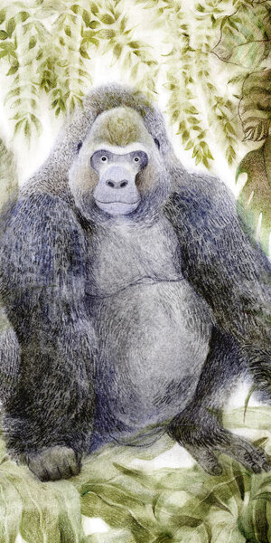 Bartolo in the Jungle | Illustrazione di Sara Filiputti