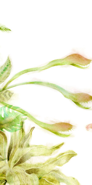 Scappa Via | Lucca Junior 2019 | illustrazione di Sara Filiputti