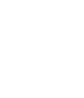 logo_turnaturi-white