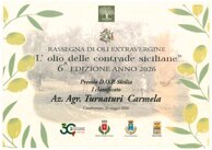 i classificato premio dop sicilia-rassegna olio delle contrade.jpeg