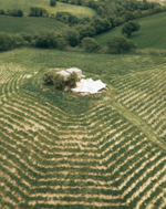 skydeck-sunset-picnic-with-360-views-over-the-tuscan-hills