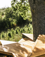 scovaventi-deck-picnic-in-the-vineyard-under-the-great-oak