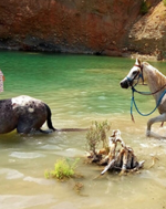 horseback-ride-and-picnic-or-natural-wine-tasting