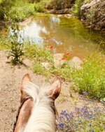 horseback-ride-and-picnic-or-natural-wine-tasting