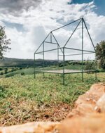 esperienza-in-starsbox-uliveta-e-picnic-tra-gli-ulivi-storici-in-maremma-toscana