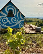 experience-at-starsbox-aria-and-picnic-among-the-vineyards-in-the-tuscan-maremma