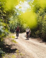 e-bike-tour-with-picnic-or-natural-wine-tasting