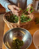 foraging-of-organic-wild-herbs-and-maremma-cooking-class