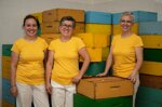 the-bees-way-lessons-in-everyday-life