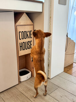 Arredo personalizzato per animali domestici
