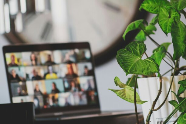 compagnons-etgmffzrogc-unsplash.jpeg