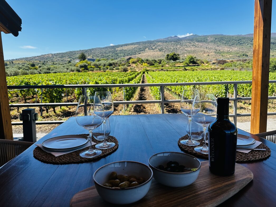 Dining table with glassware overlooking Etna vineyards under blue sky.