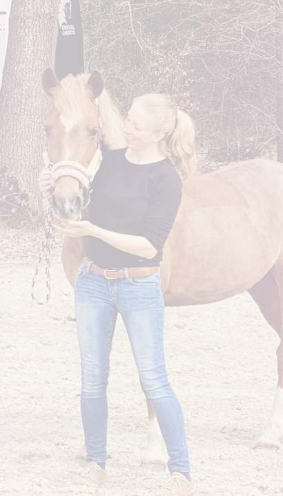 26954be9a94e91610af6b0e558bcc1db0b80c4f0