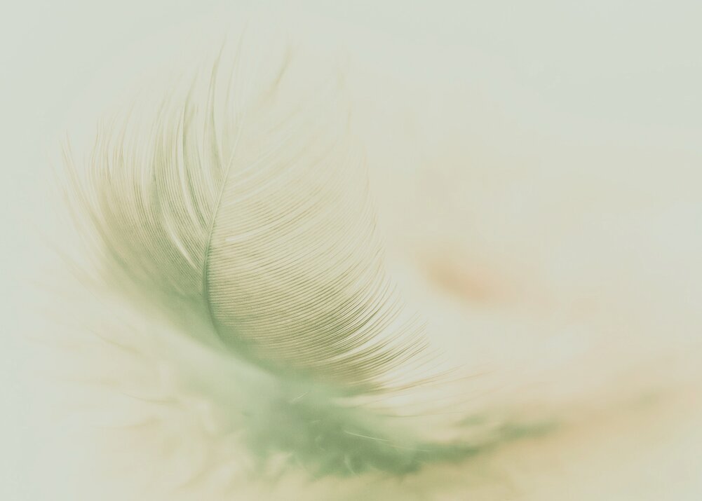 362202bc1126537e3cfa710583bd412202376b6c