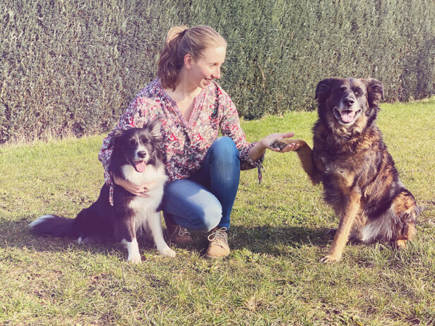 5b3f33096c4327799fca1b8a10faceeabe0f36fc