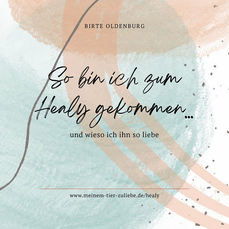 So bin ich zum Healy gekommen...