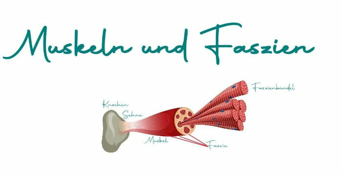 Schon gewusst?