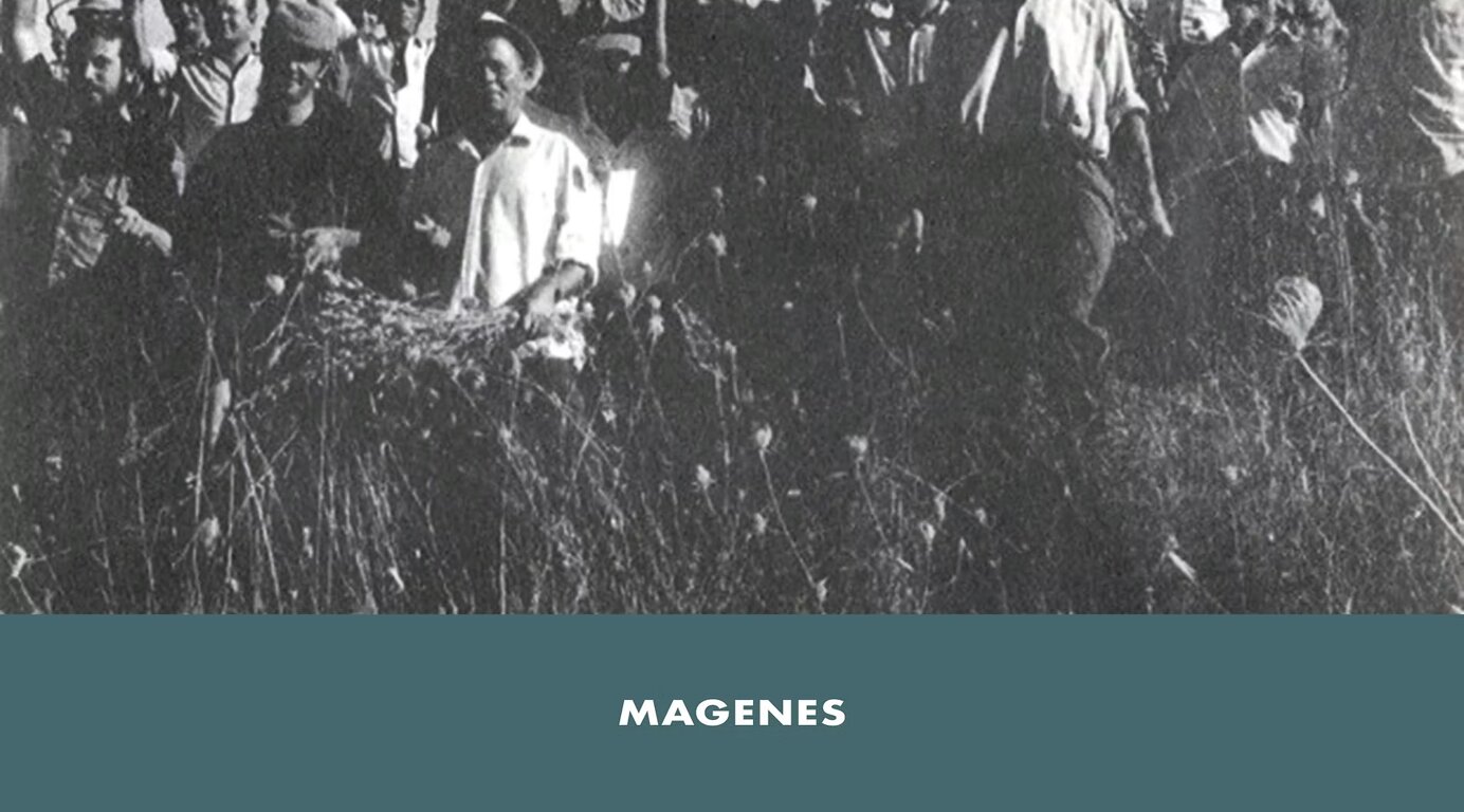 imgi_1_dd0aeb_6aec8493246b4cd1afb91e857420e498~mv2_d_3496_4961_s_4_2.jpeg