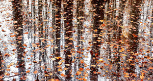 _dme9318-modifica.jpeg _dme9318-modifica.jpeg