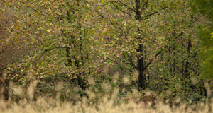 dcf_3192-modifica.jpeg dcf_3192-modifica.jpeg