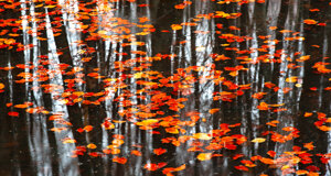 dcf_4504-modifica-min.jpeg dcf_4504-modifica-min.jpeg