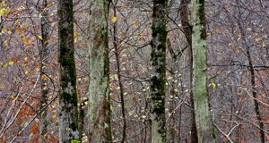 dcf_1203-modifica-min.jpeg dcf_1203-modifica-min.jpeg