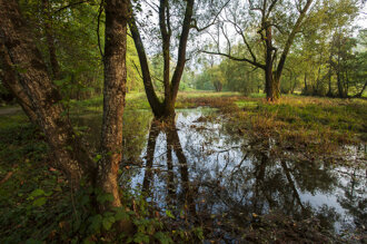 acque temporanee.jpeg