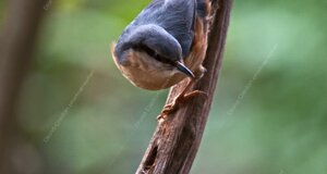 7dc_4393-min.jpeg 7dc_4393-min.jpeg