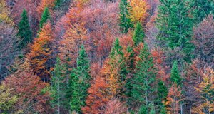 dc0_8935-modifica-min.jpeg dc0_8935-modifica-min.jpeg