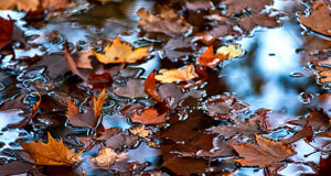 dcf_1183-modifica.jpeg dcf_1183-modifica.jpeg