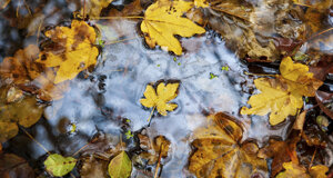 dc7_4837.jpeg dc7_4837.jpeg