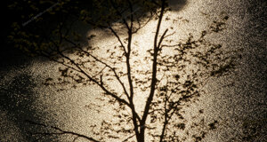 dc7_1170.jpeg dc7_1170.jpeg