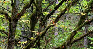 dc0_8985-modifica-min.jpeg dc0_8985-modifica-min.jpeg