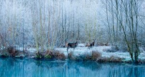 7dc_1724-min.jpeg 7dc_1724-min.jpeg