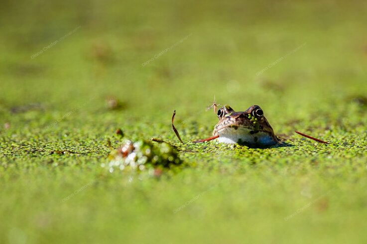 7dc_4393-min.jpeg 7dc_4393-min.jpeg