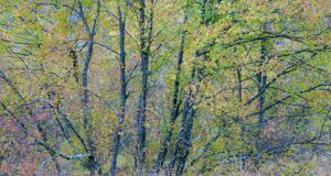 dcf_1210-modifica-min%20(1).jpeg dcf_1210-modifica-min%20(1).jpeg