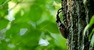 _dme5242-modifica-min.jpeg _dme5242-modifica-min.jpeg