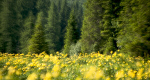 _dme9222.jpeg _dme9222.jpeg